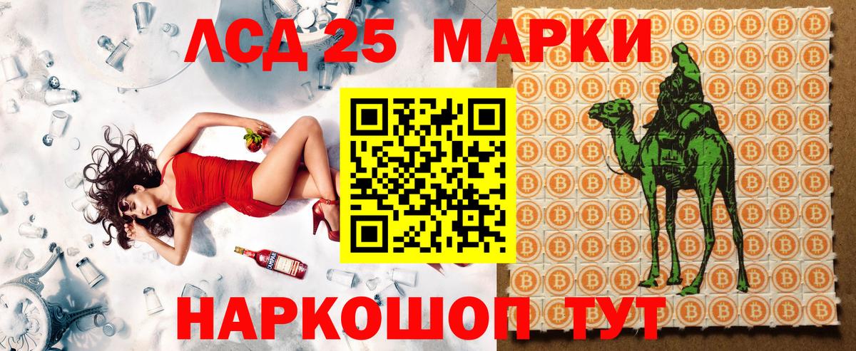 Марки N-bome 1,8мг  Вход с VPN  Марки N-bome 1,8мг  как найти наркотики  Калининград 