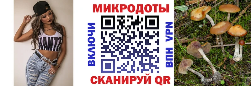 Псилоцибиновые грибы Psilocybine cubensis  Калининград 