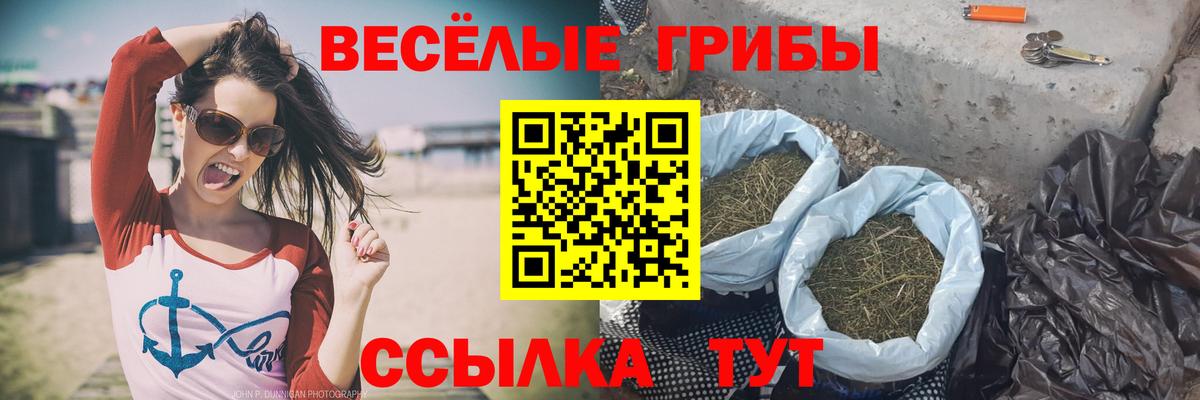 Псилоцибиновые грибы Psilocybe  Вход с VPN  наркотики  Калининград 